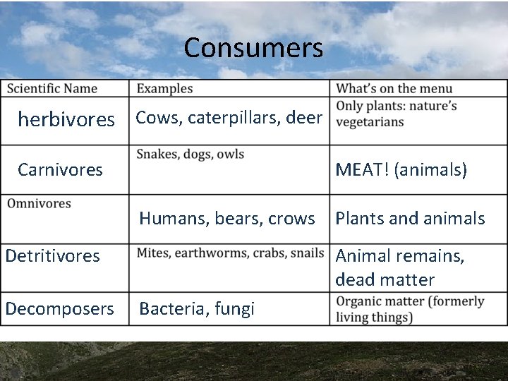 Consumers herbivores Cows, caterpillars, deer Carnivores MEAT! (animals) Humans, bears, crows Plants and animals Consumers herbivores Cows, caterpillars, deer Carnivores MEAT! (animals) Humans, bears, crows Plants and animals