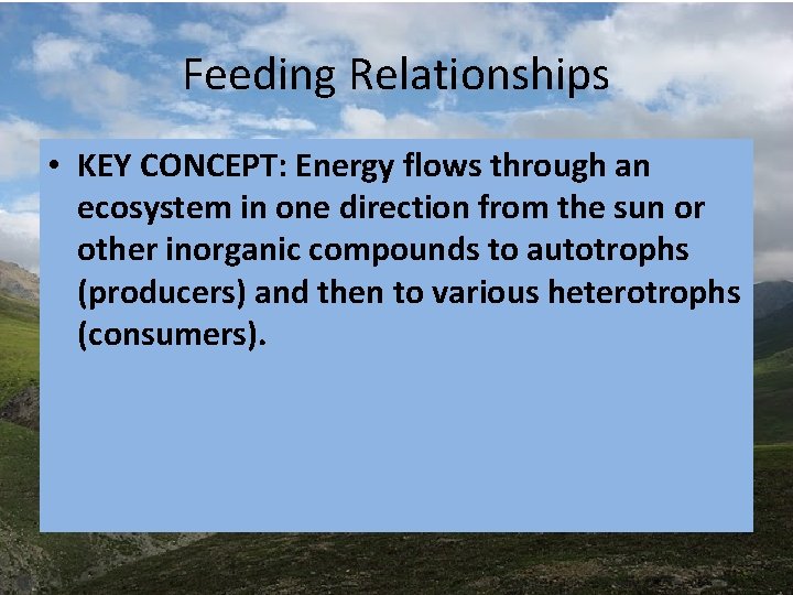 Feeding Relationships • KEY CONCEPT: Energy flows through an ecosystem in one direction from Feeding Relationships • KEY CONCEPT: Energy flows through an ecosystem in one direction from
