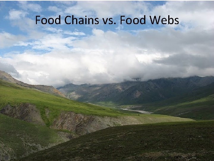 Food Chains vs. Food Webs Food Chains vs. Food Webs