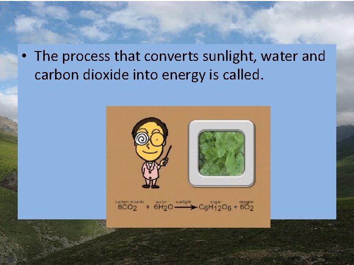 • The process that converts sunlight, water and carbon dioxide into energy is • The process that converts sunlight, water and carbon dioxide into energy is