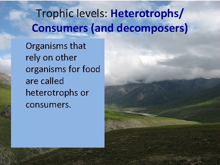 Trophic levels: Heterotrophs/ Consumers (and decomposers) Organisms that rely on other organisms for food Trophic levels: Heterotrophs/ Consumers (and decomposers) Organisms that rely on other organisms for food