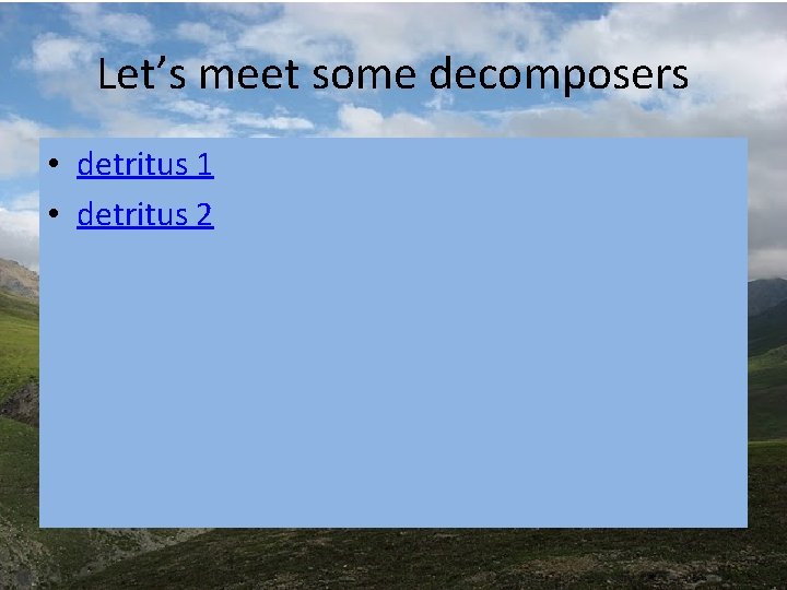 Let’s meet some decomposers • detritus 1 • detritus 2 Let’s meet some decomposers • detritus 1 • detritus 2