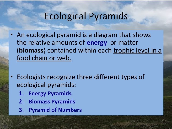 Ecological Pyramids • An ecological pyramid is a diagram that shows the relative amounts Ecological Pyramids • An ecological pyramid is a diagram that shows the relative amounts