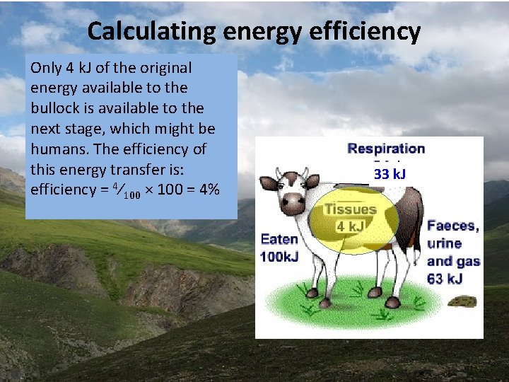 Calculating energy efficiency Only 4 k. J of the original energy available to the Calculating energy efficiency Only 4 k. J of the original energy available to the