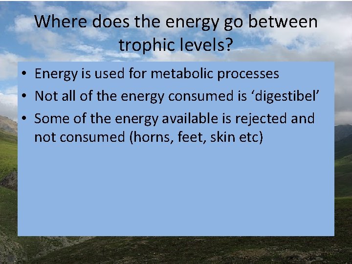 Where does the energy go between trophic levels? • Energy is used for metabolic Where does the energy go between trophic levels? • Energy is used for metabolic