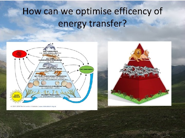 How can we optimise efficency of energy transfer? How can we optimise efficency of energy transfer?