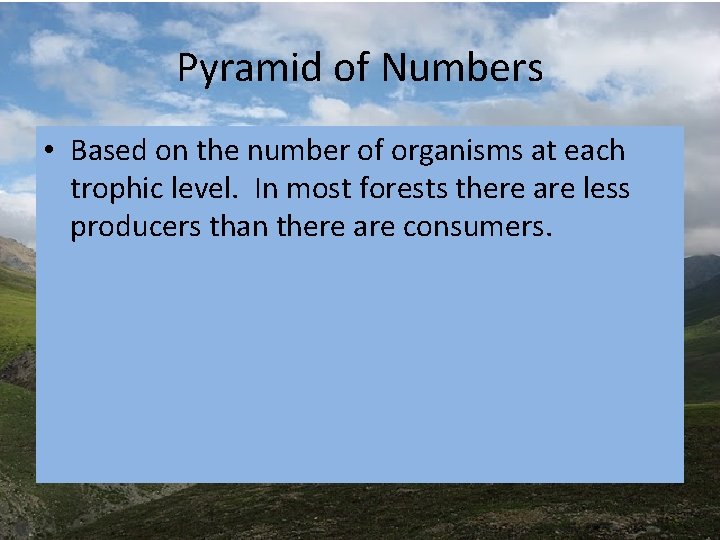 Pyramid of Numbers • Based on the number of organisms at each trophic level. Pyramid of Numbers • Based on the number of organisms at each trophic level.
