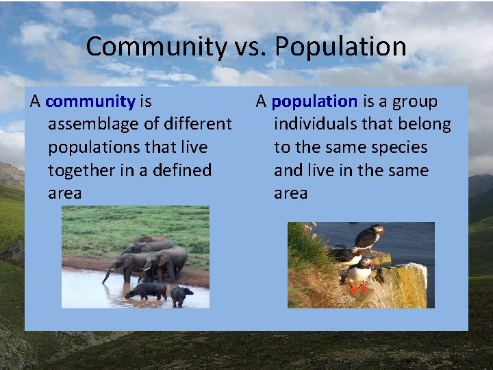 Community vs. Population A community is A population is a group assemblage of different Community vs. Population A community is A population is a group assemblage of different