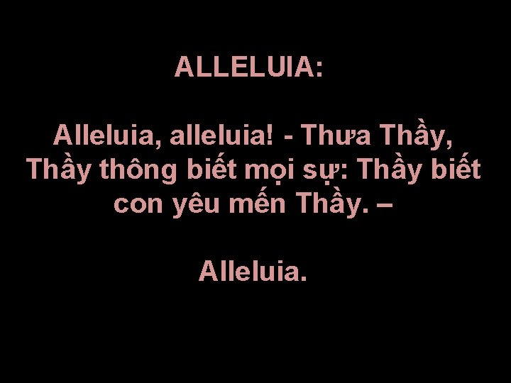 ALLELUIA: Alleluia, alleluia! - Thưa Thầy, Thầy thông biết mọi sự: Thầy biết con