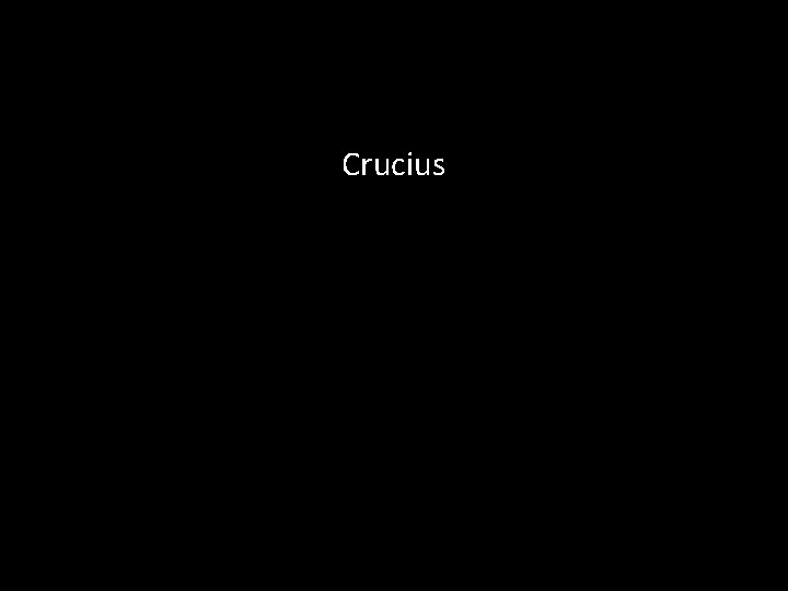 Crucius 