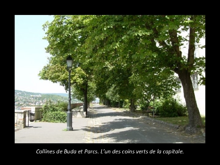 Collines de Buda et Parcs. L’un des coins verts de la capitale. 