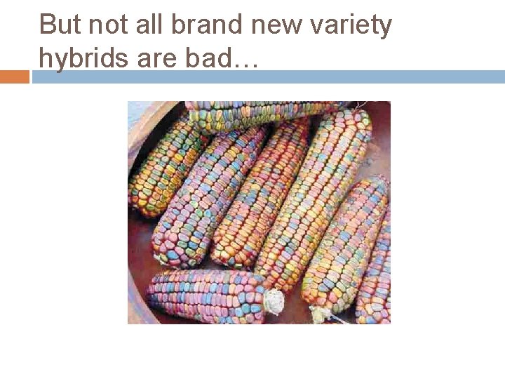 But not all brand new variety hybrids are bad… 