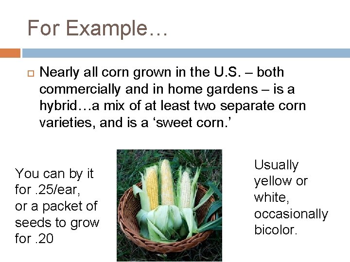For Example… Nearly all corn grown in the U. S. – both commercially and
