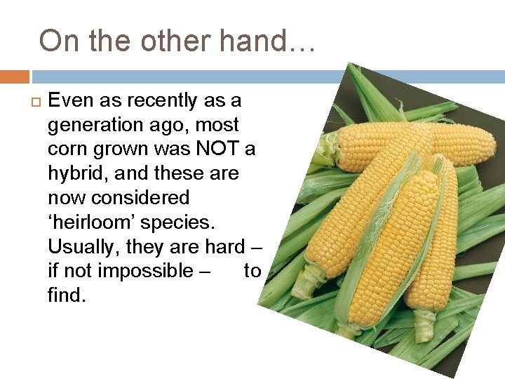 On the other hand… Even as recently as a generation ago, most corn grown