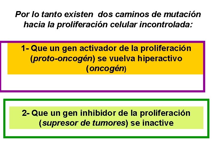 Por lo tanto existen dos caminos de mutación hacia la proliferación celular incontrolada: 1