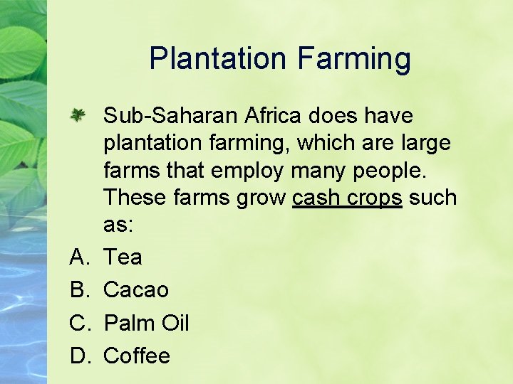 Plantation Farming A. B. C. D. Sub-Saharan Africa does have plantation farming, which are