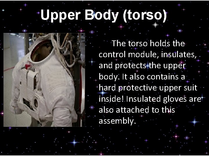 Upper Body (torso) The torso holds the control module, insulates, and protects the upper