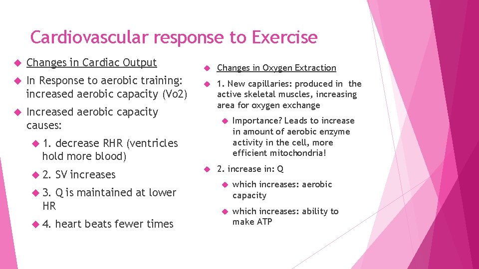 Cardiovascular response to Exercise Changes in Cardiac Output In Response to aerobic training: increased