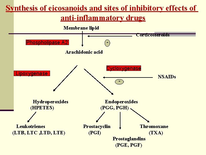 Synthesis of eicosanoids and sites of inhibitory effects of anti-inflammatory drugs Membrane lipid Corticosteroids