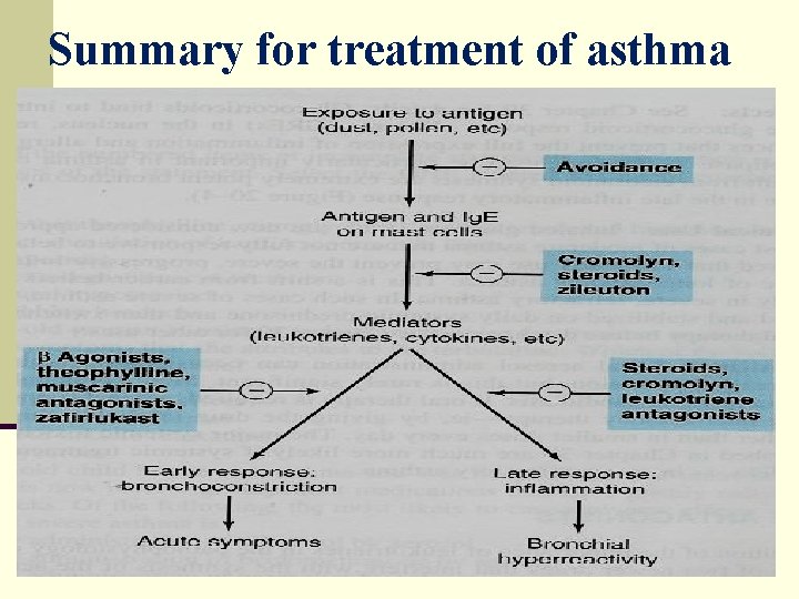 Summary for treatment of asthma 