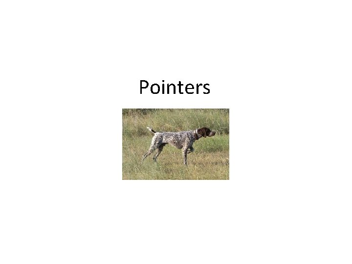 Pointers 