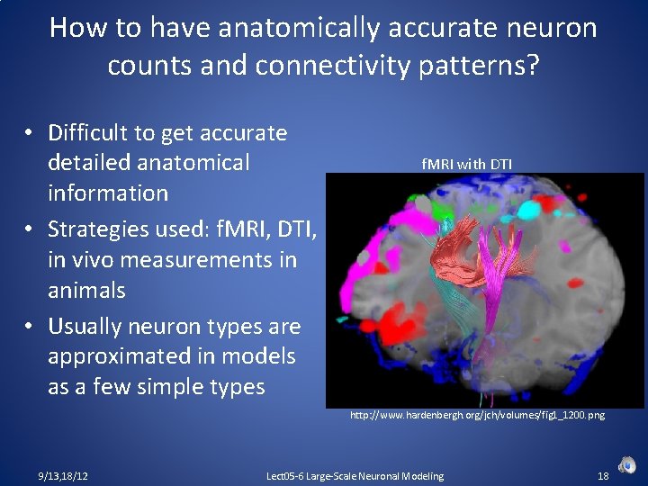 How to have anatomically accurate neuron counts and connectivity patterns? • Difficult to get