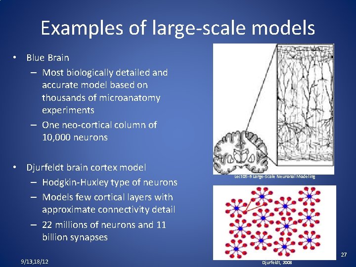 Examples of large-scale models • Blue Brain – Most biologically detailed and accurate model