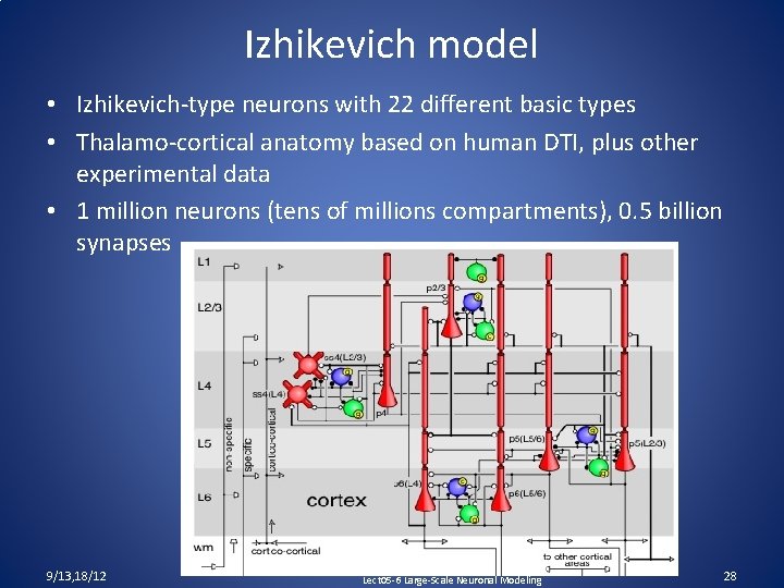 Izhikevich model • Izhikevich-type neurons with 22 different basic types • Thalamo-cortical anatomy based