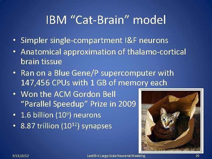 IBM “Cat-Brain” model • Simpler single-compartment I&F neurons • Anatomical approximation of thalamo-cortical brain