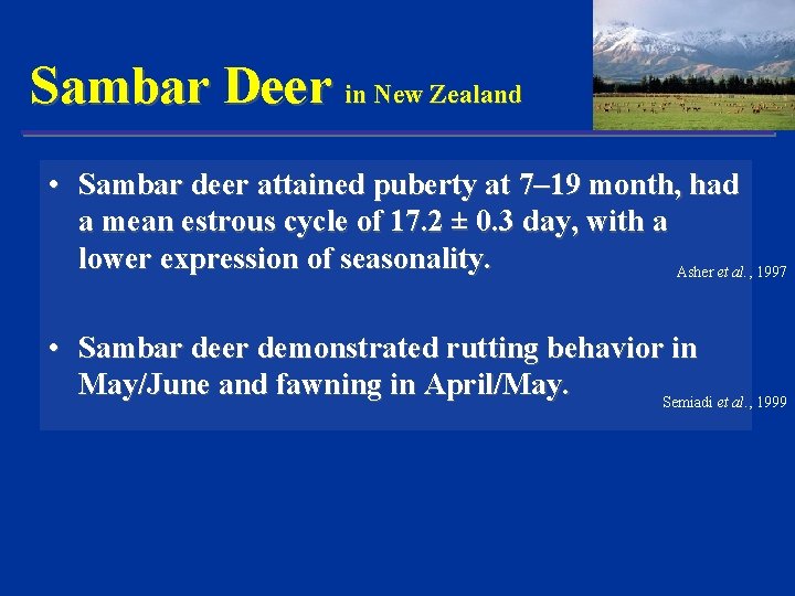 Sambar Deer in New Zealand • Sambar deer attained puberty at 7– 19 month,