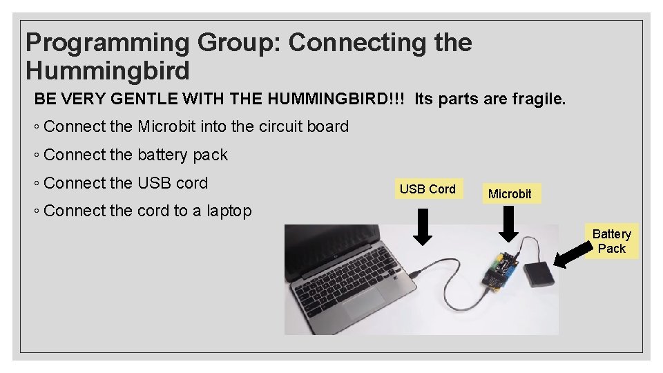 Programming Group: Connecting the Hummingbird BE VERY GENTLE WITH THE HUMMINGBIRD!!! Its parts are