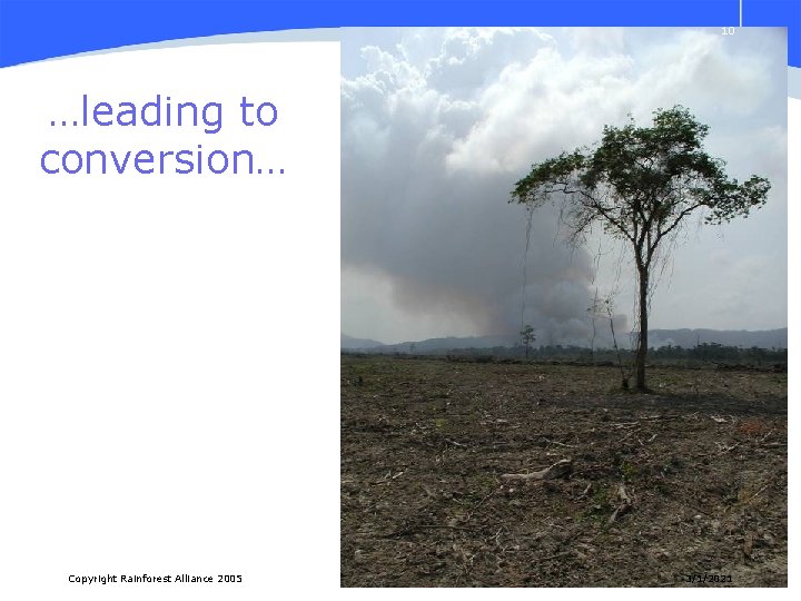 10 …leading to conversion… Copyright Rainforest Alliance 2005 3/1/2021 