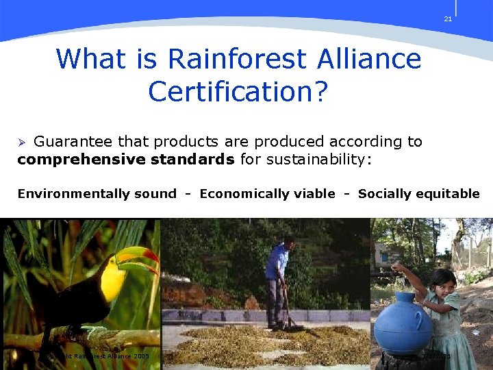 21 What is Rainforest Alliance Certification? Guarantee that products are produced according to comprehensive