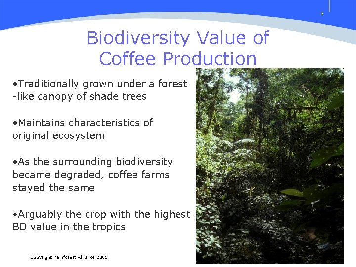 3 Biodiversity Value of Coffee Production • Traditionally grown under a forest -like canopy