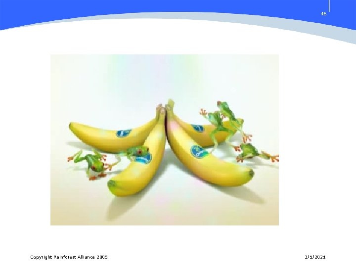 46 Copyright Rainforest Alliance 2005 3/1/2021 