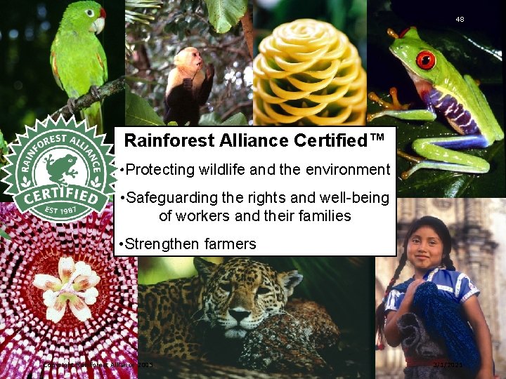 48 Rainforest Alliance Certified™ • Protecting wildlife and the environment • Safeguarding the rights