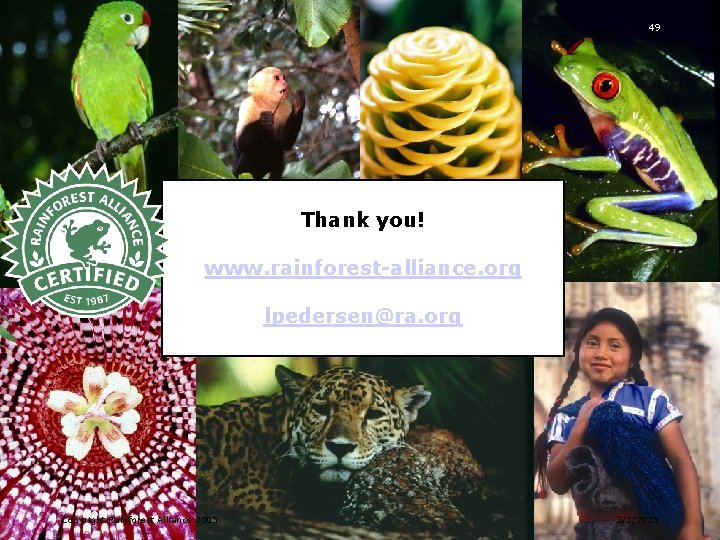 49 Thank you! www. rainforest-alliance. org lpedersen@ra. org Copyright Rainforest Alliance 2005 3/1/2021 
