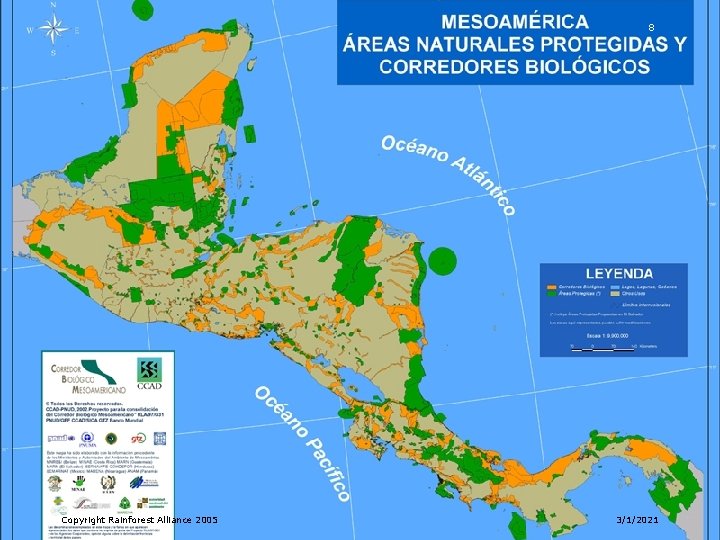 8 Copyright Rainforest Alliance 2005 3/1/2021 