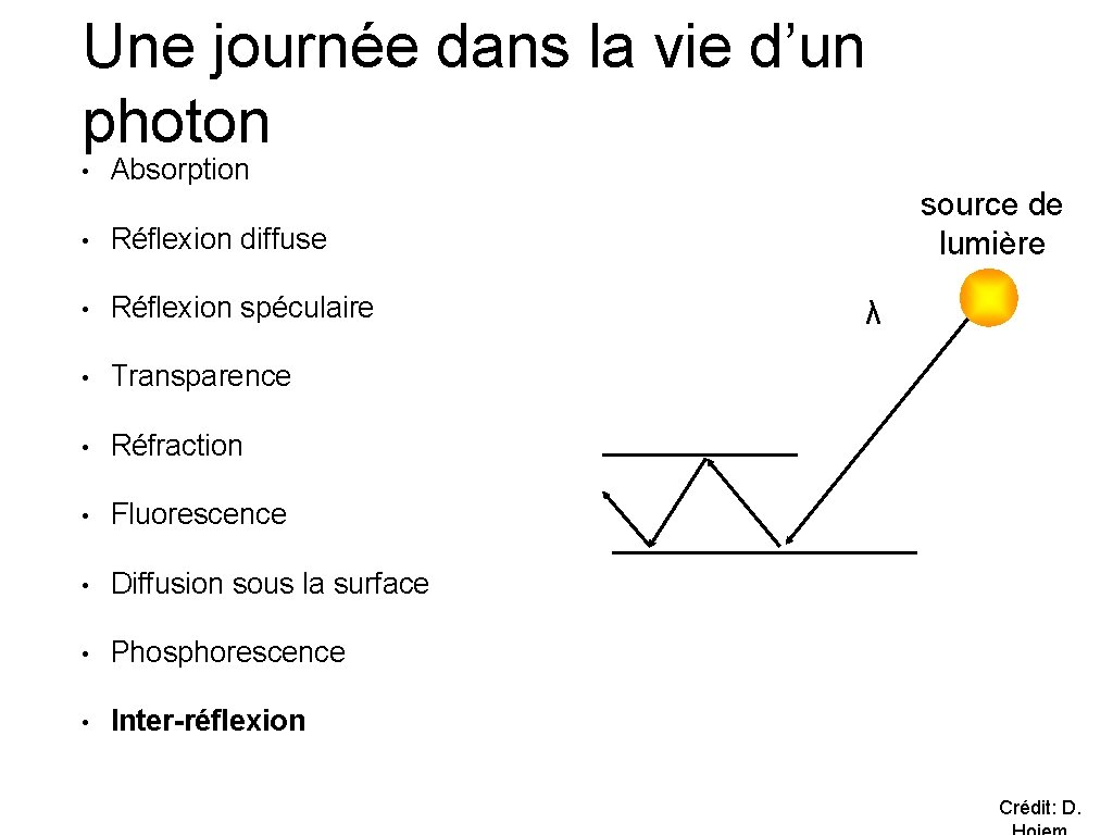 Une journée dans la vie d’un photon • Absorption • Réflexion diffuse • Réflexion