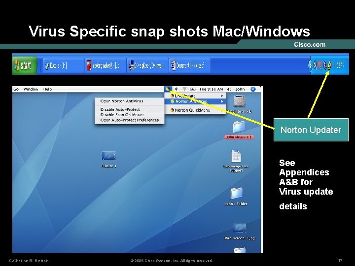 Virus Specific snap shots Mac/Windows Norton Updater See Appendices A&B for Virus update details
