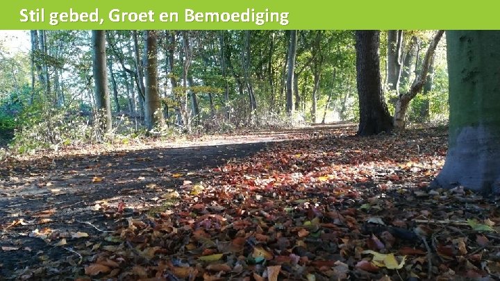 Stil gebed, Groet en Bemoediging 