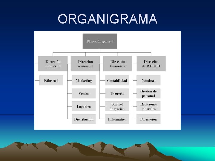 ORGANIGRAMA 