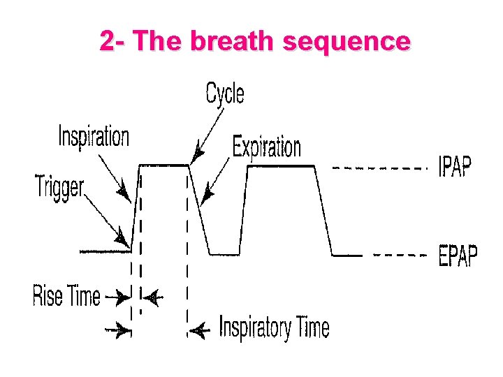 2 - The breath sequence 