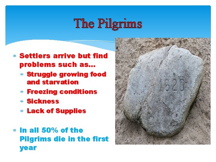 The Pilgrims Settlers arrive but find problems such as… Struggle growing food and starvation
