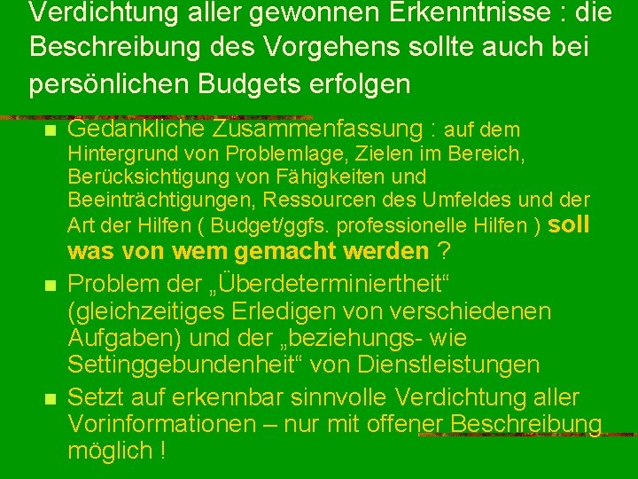 Verdichtung aller gewonnen Erkenntnisse : die Beschreibung des Vorgehens sollte auch bei persönlichen Budgets