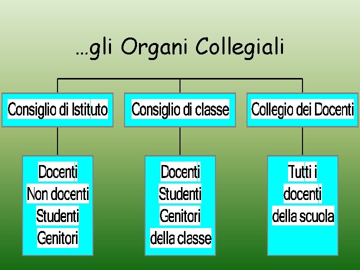 …gli Organi Collegiali 