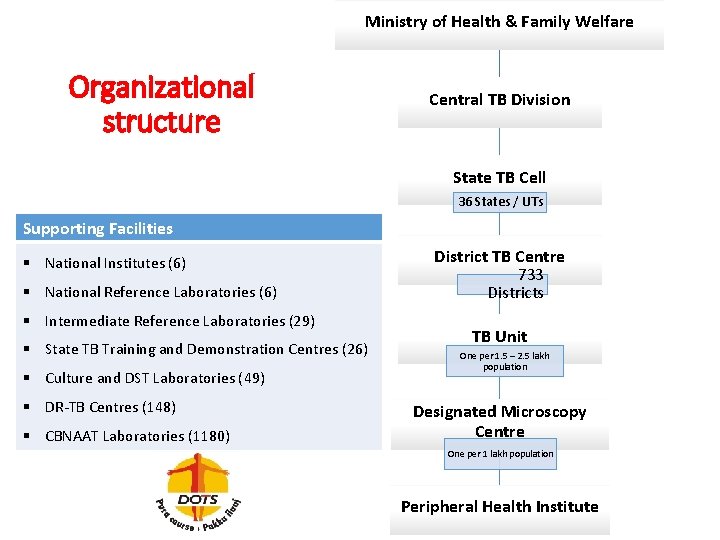 Ministry of Health & Family Welfare Organizational structure Central TB Division State TB Cell
