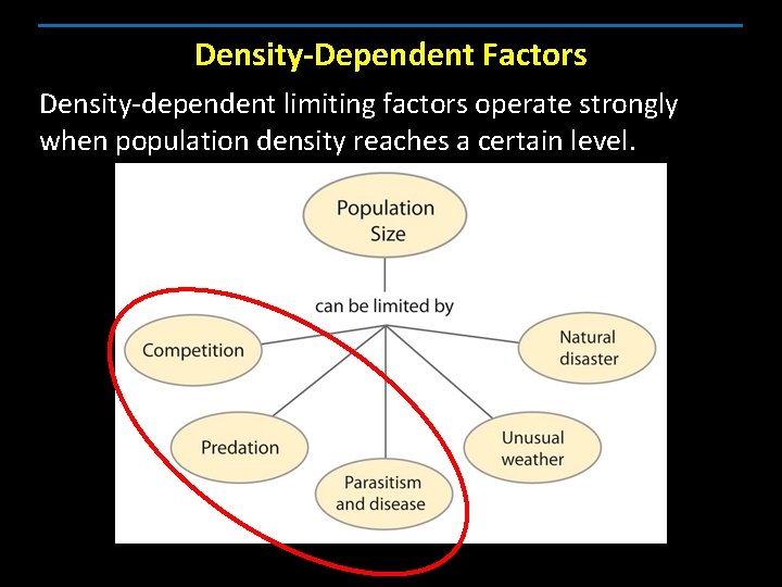 Density-Dependent Factors Density-dependent limiting factors operate strongly when population density reaches a certain level.