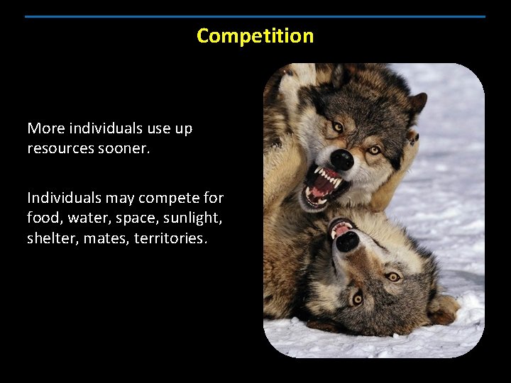 Competition More individuals use up resources sooner. Individuals may compete for food, water, space,