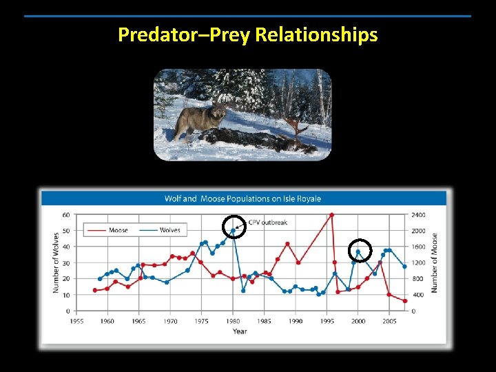 Predator–Prey Relationships 